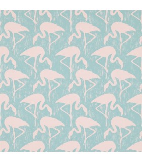 Flamingos