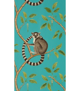 Ringtailed Lemur