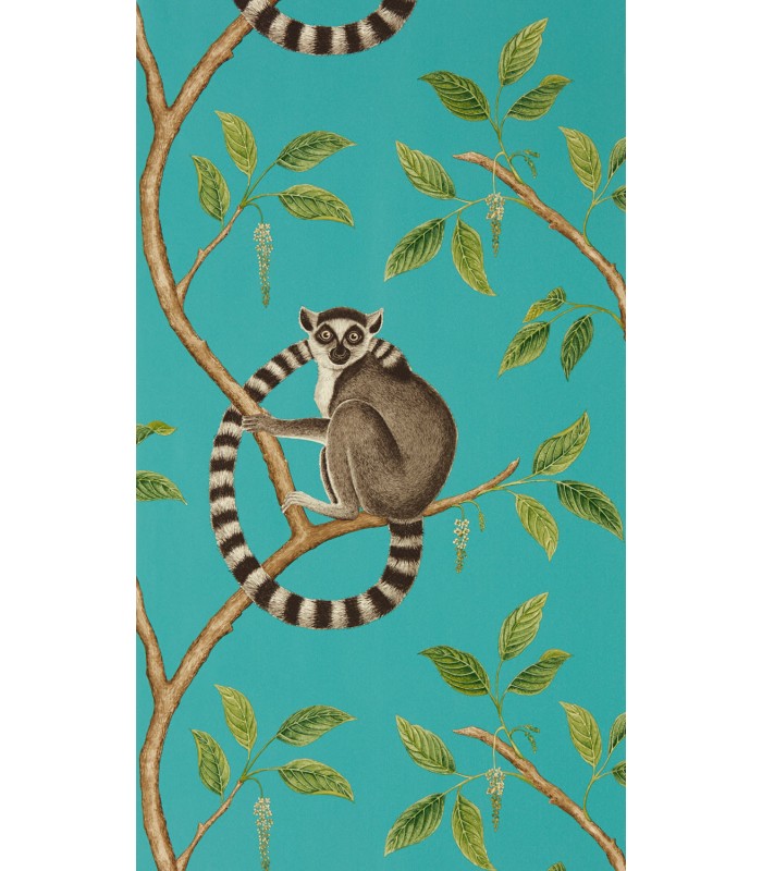 Ringtailed Lemur