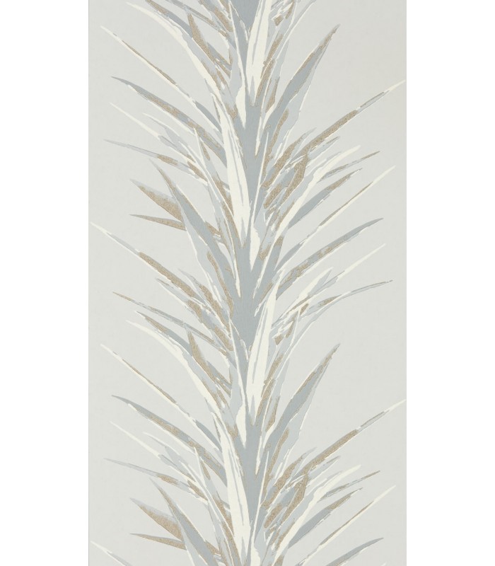 Yucca