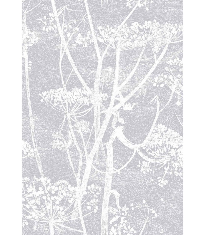 Cow Parsley