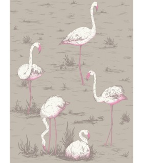 Flamingos - C&S