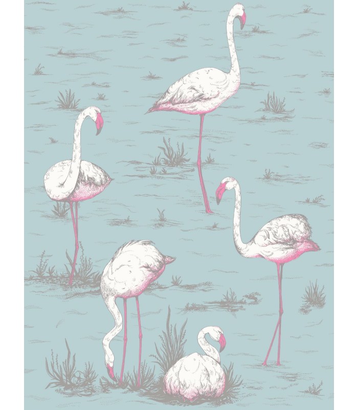 Flamingos - C&S