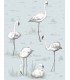 Flamingos - C&S