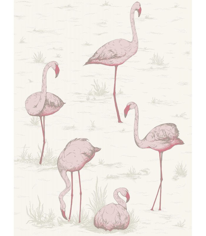 Flamingos - C&S