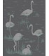 Flamingos - C&S