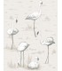 Flamingos - C&S