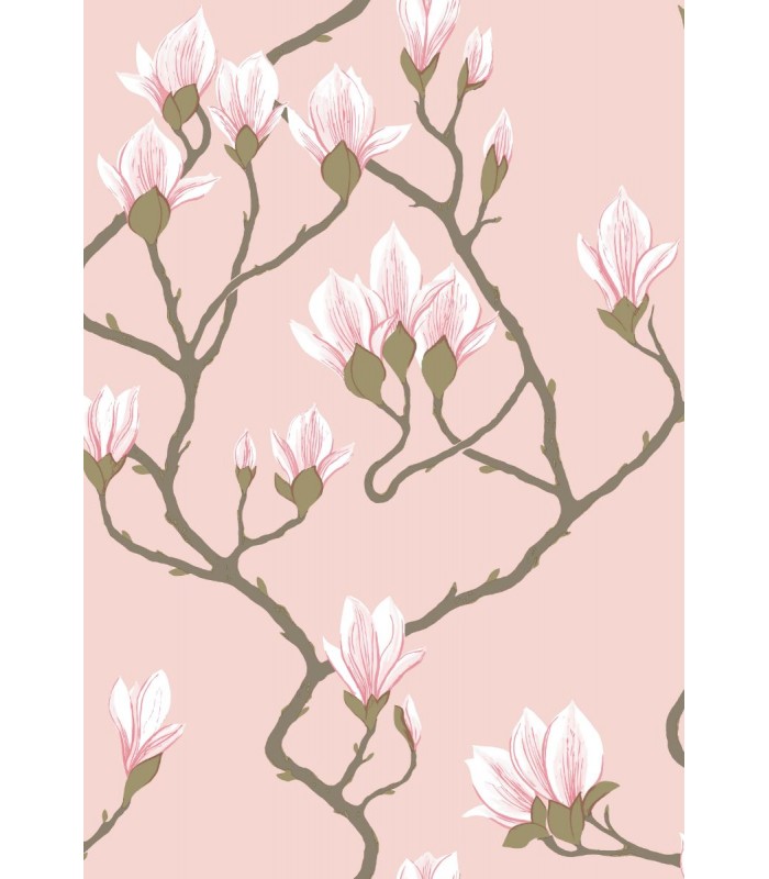 Magnolia
