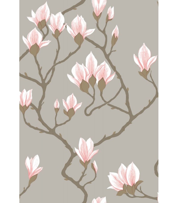 Magnolia