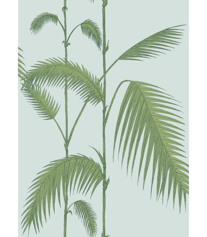 Palm Leaves
