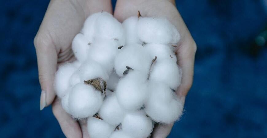 Cos'è il cotone organico?